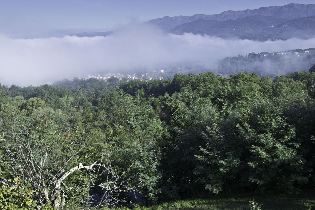 Ca' Rinaldi F Otel Aulla Dış mekan fotoğraf
